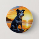 Suche nach wenn ich ein hund war buttons Sonnenuntergang
