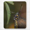 Suche nach seitenansicht mousepads Tier