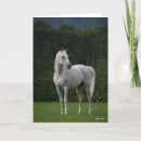 Suche nach arabische sprache postkarten Grau