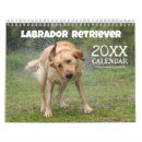 Suche nach labradore kalender Gelbe labrador