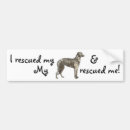 Suche nach scottish autoaufkleber Deerhound