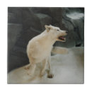 Suche nach wölfe fliesen Wolf