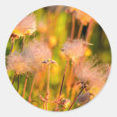 Suche nach prarie aufkleber Flora