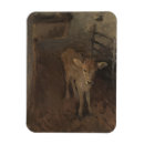 Suche nach kälber magnete Kalb