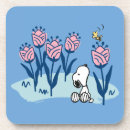 Suche nach erdnüsse untersetzer Snoopie und wald