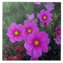 Suche nach blumig fliesen Grün