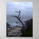 Suche nach monterey poster Natur
