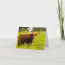 Suche nach coo postkarten Niedlich