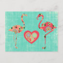 Suche nach flamingo liebe postkarten Jede person