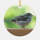 Suche nach spatz ornamente Vogel