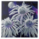 Suche nach vollmond fliesen Für sie