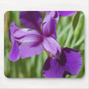 Suche nach lila iris mousepads Natur