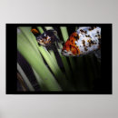 Suche nach goldfische poster Lila