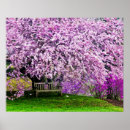 Suche nach wintergarten poster Pflanze