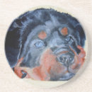 Suche nach rottweiler untersetzer Hund
