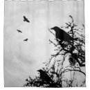 Suche nach krähen silhouette Schwarzes