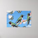 Suche nach kolibris leinwandbilder Blume