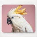 Suche nach kakadu mousepads Jede person