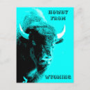 Suche nach bison postkarten Western