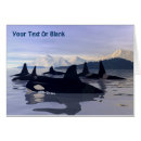 Suche nach orca Natur