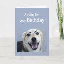 Suche nach augenbrauen karten Spaß