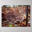 Suche nach orb poster Web