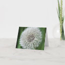 Suche nach löwenzahn kleine grußkarten Blume