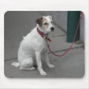 Suche nach roter hund mousepads Lustig