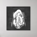 Suche nach verdauungssystem leinwandbilder Anatomie