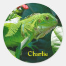 Suche nach lizard aufkleber Natur