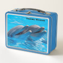 Suche nach delphin brotdosen Natur