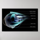 Suche nach menschliches auge poster Leute