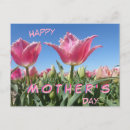 Suche nach mother postkarten Mutter