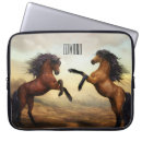 Suche nach stallions Bauernhof