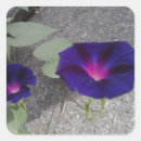Suche nach blumenaufkleber Lila blumenaufkleber