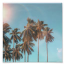 Suche nach kokosnusspalme Insel