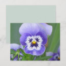 Suche nach sprungs postkarten Blume