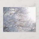 Suche nach eichenbaum postkarten Winter
