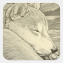 Suche nach wachhund aufkleber Hundefreund