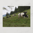 Suche nach schweizerische postkarten Für alle