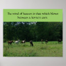 Suche nach pferd und reiter poster Rasse