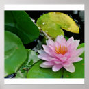 Suche nach dalai poster Meditation