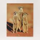 Suche nach meerkat puzzle Natur