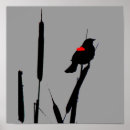 Suche nach amsel poster Natur