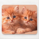 Suche nach niedliches kätzchen mousepads Für alle