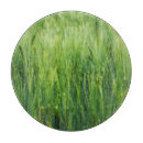 Suche nach grünes gras schneidebrettchen Sommer