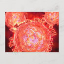 Suche nach epidemiologie postkarten 3d