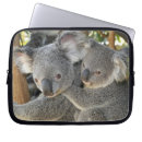 Suche nach koala laptop schutzhüllen Tierwelt
