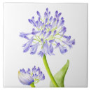 Suche nach lili fliesen Für sie/ihn