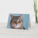 Suche nach niedlicher kitty karten Jede person